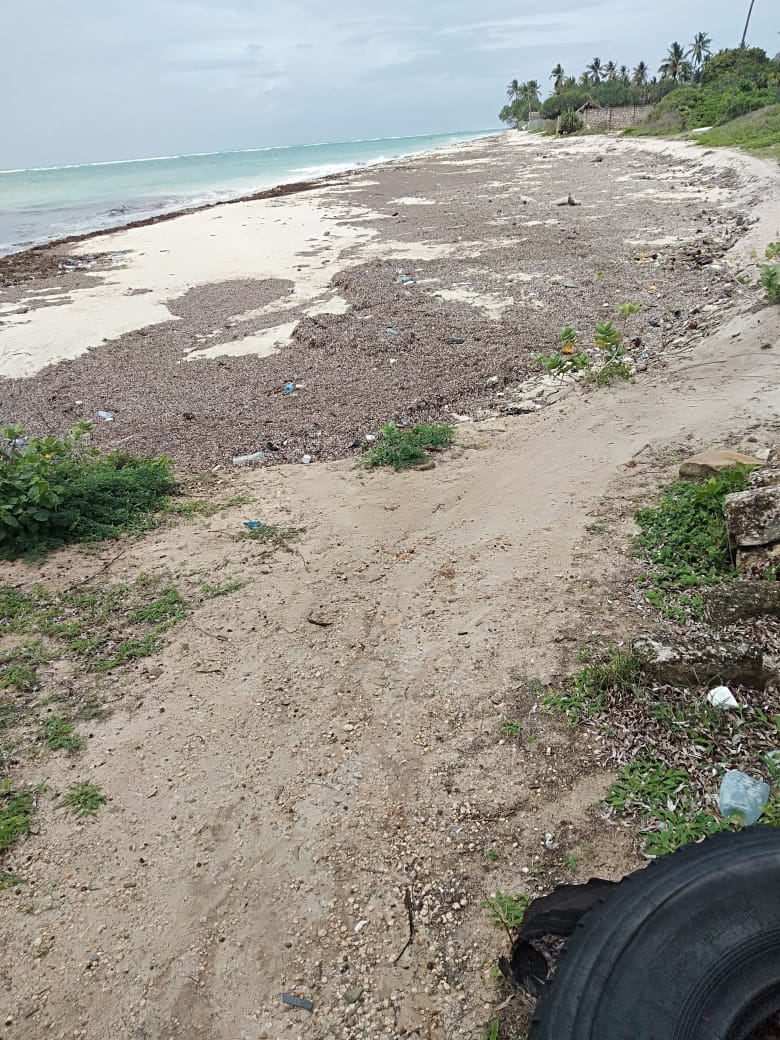 WhatsApp Image 2022-05-05 at 4.09.02 PM 2.jpeg